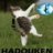 Hadouken